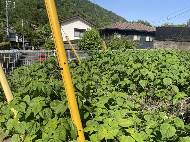 現地に行くなら、物件の周囲の地形がどうなっているかを見ることも大切です。周辺より低くなっている土地では、大雨などで水が集まりやすいため、地盤が弱くなっているということも考えられるため、注意が必要です。