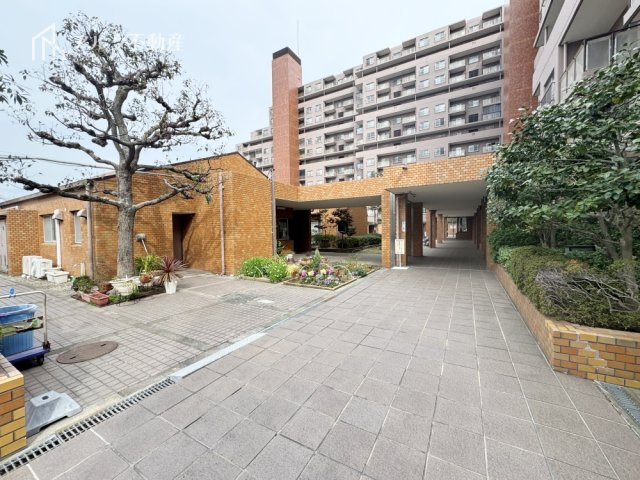 2026年3月7日撮影