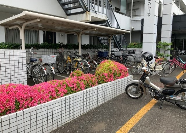 車一台あたりに必要なスペースは、標準サイズの普通自動車で横幅2m50cm、長さ5mは必要になります。ただし、乗降のことも考慮して横幅3m30cm、長さ5m50cmほどは確保できるところを選びましょう。