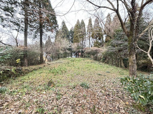 外観：343000086948