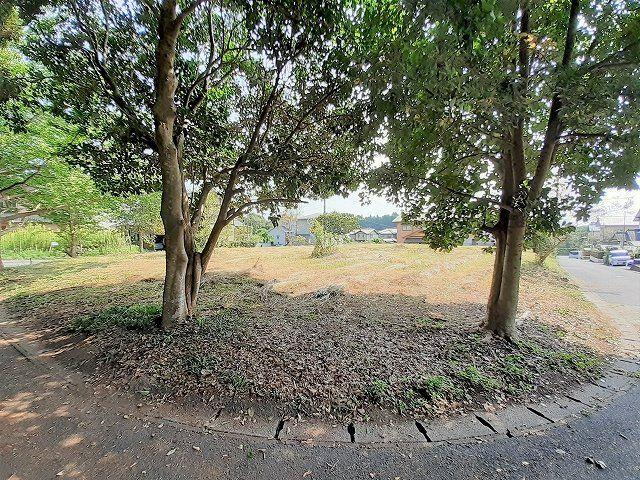 外観：344000005768