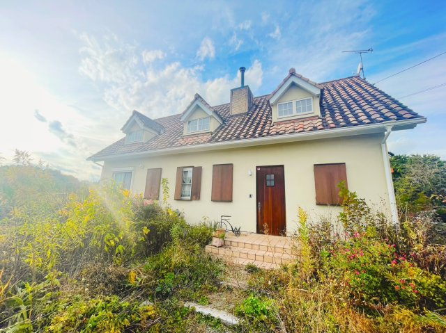 外観：309000090989