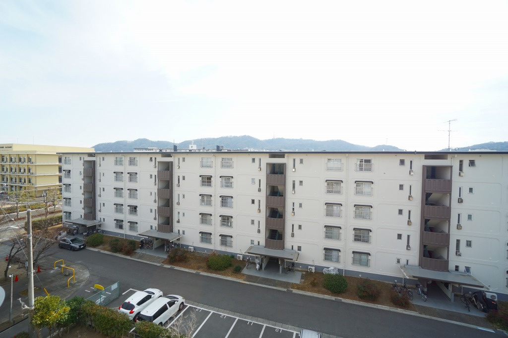 展望