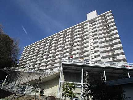 外観：334000234641