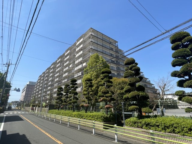 外観：313004700343