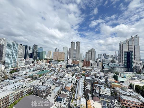 ※2023年5月ごろに本物件と同じ部屋位置の　　11　階からの眺望写真
