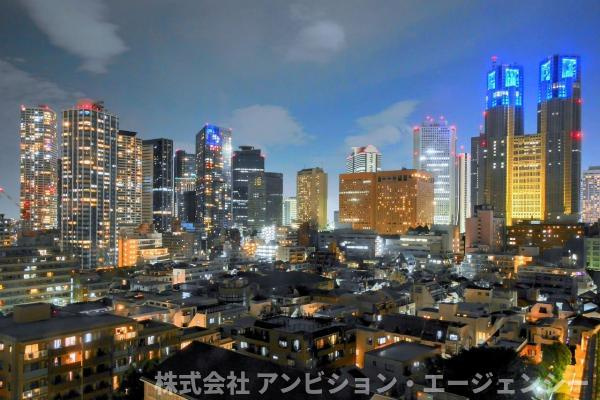 ※2023年5月ごろに本物件と同じ部屋位置の　　11　階からの眺望写真
