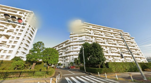 外観：313004697815