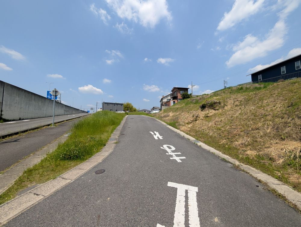 南側から撮影
