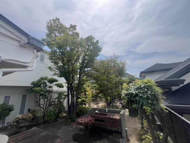 庭
