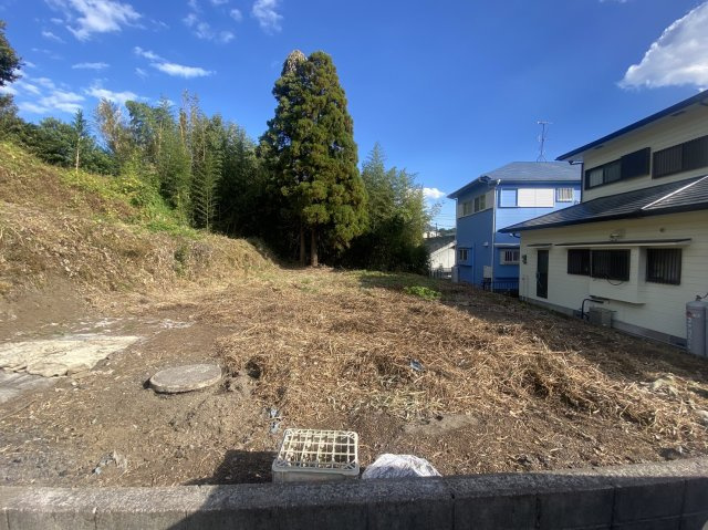 外観：346000041774