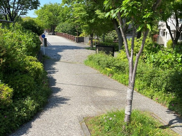 マンションの敷地から歩道橋を通って商店街やスーパーに行けます。