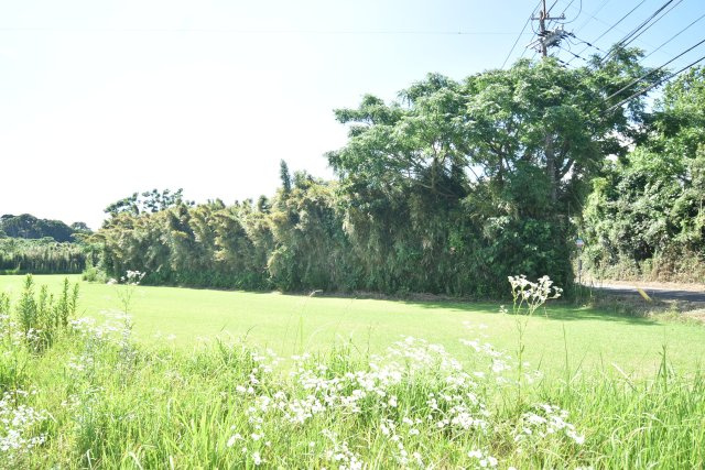 外観：346000012108