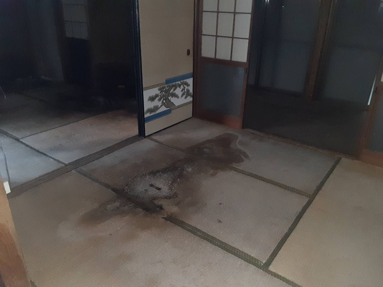 1F和室　雨漏り1