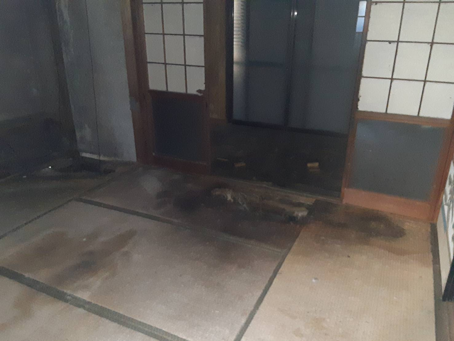 1F和室　雨漏り2
