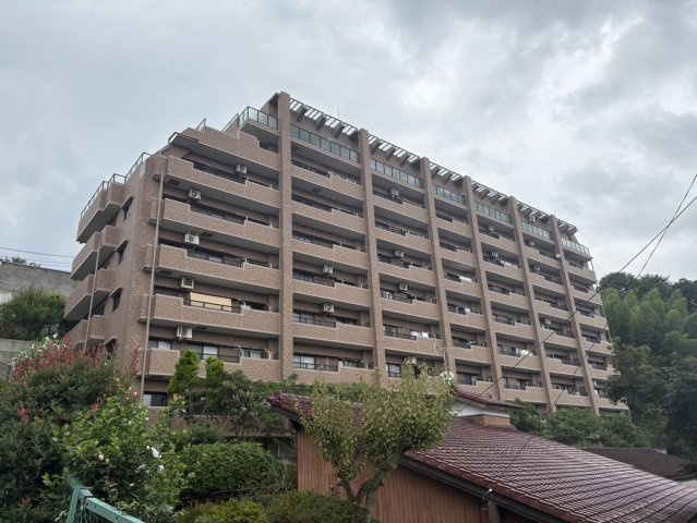 外観：313004837873