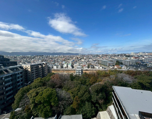 展望