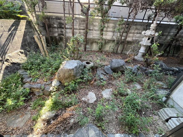 庭