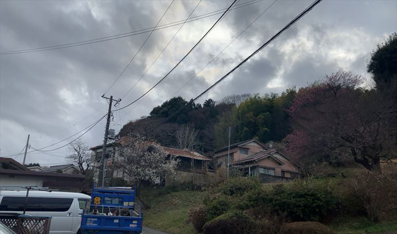 田園風景が味わえる土地に住みたい！海や山の見える自然豊かな土地に住みたい！などご要望に併せて当社営業がご提案させて頂きます。当社が抱えている数ある物件の中からお客様が納得する1件を一緒に探しましょう！