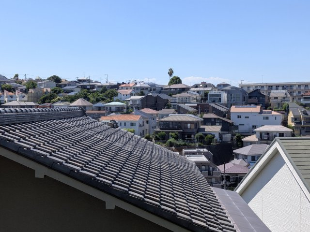 展望