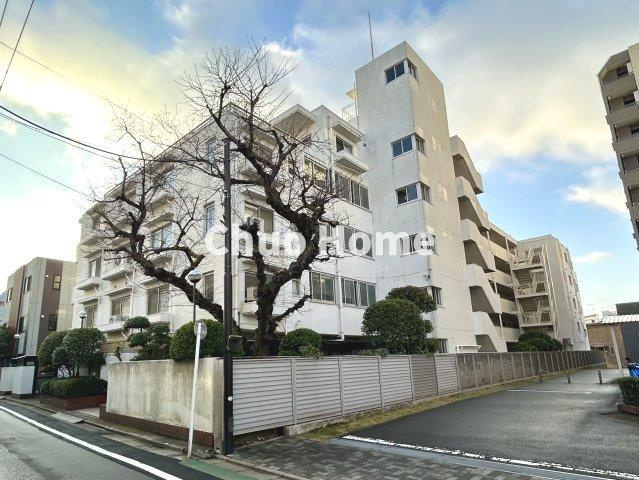 外観：313004651054