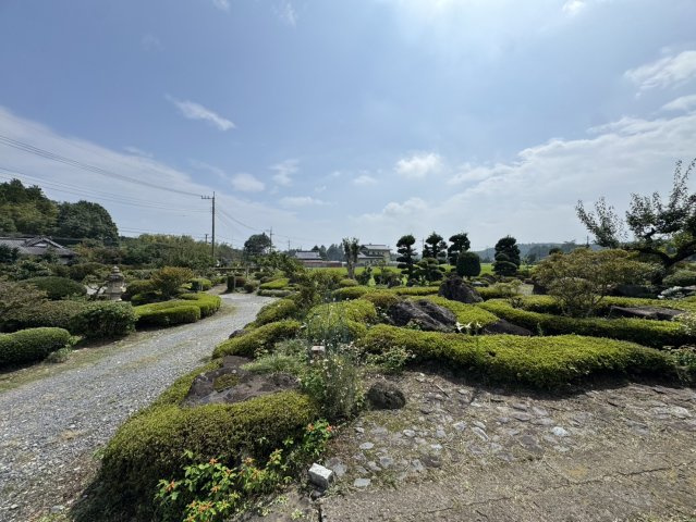 庭