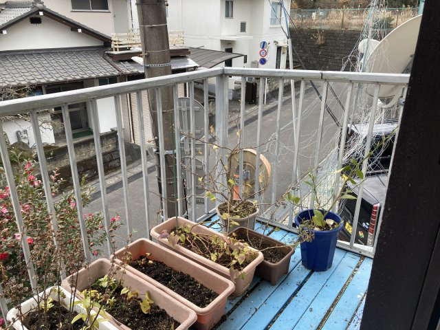 バルコニーです。南に面しています。プランターで花など育ててみては如何ですか。