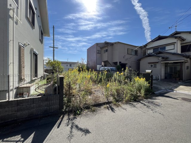 外観：330000084666