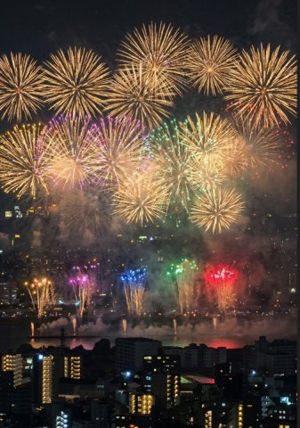 【物件からの眺望】花火鑑賞可能な物件です☆高層階につき見渡しも良好です◎