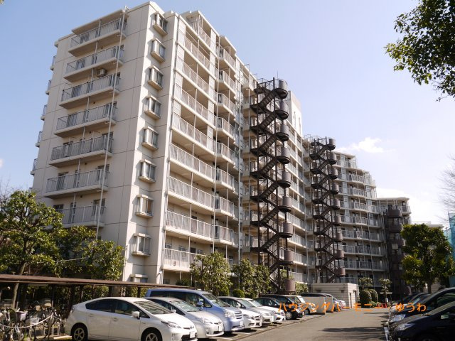 外観：313004686021