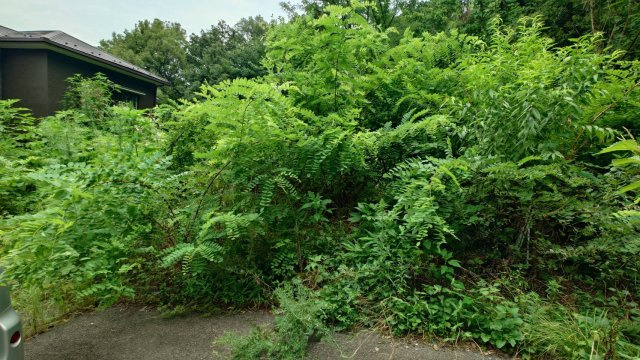 外観：313004837708