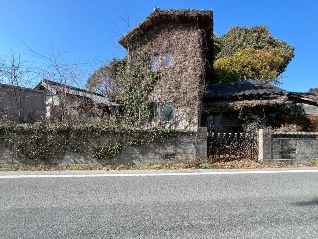 【現地写真】　2026年2月に撮影しました