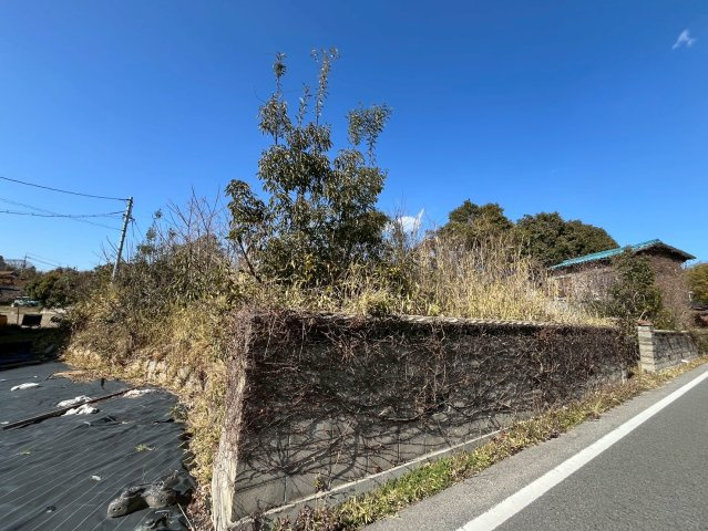 【現地写真】　2026年2月に撮影しました