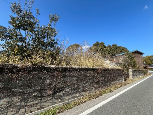 【現地写真】　2026年2月に撮影しました