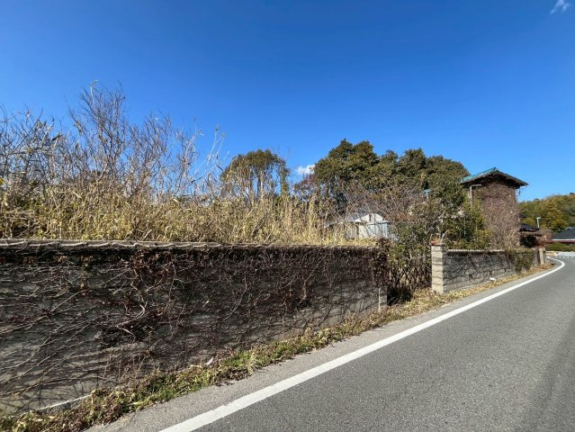 【現地写真】　2026年2月に撮影しました