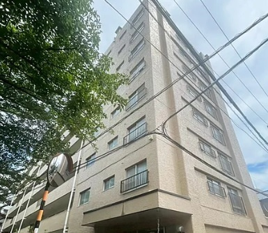 外観：313004558050