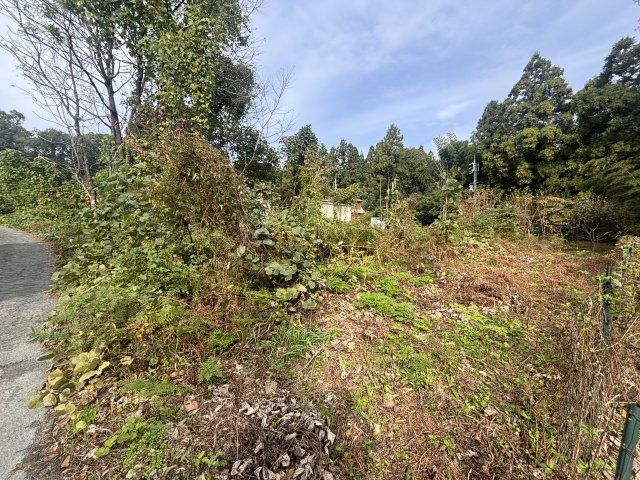 外観：325000119251