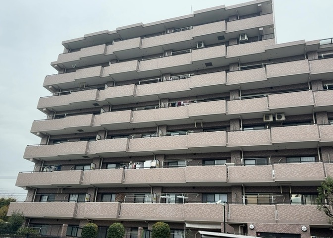 外観：313004295960