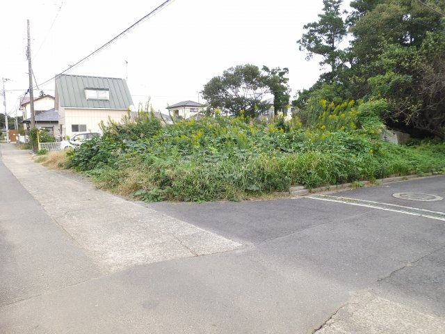 外観：308000174848