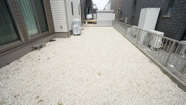庭