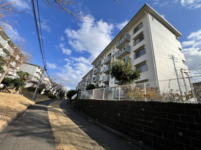 外観：314002669303