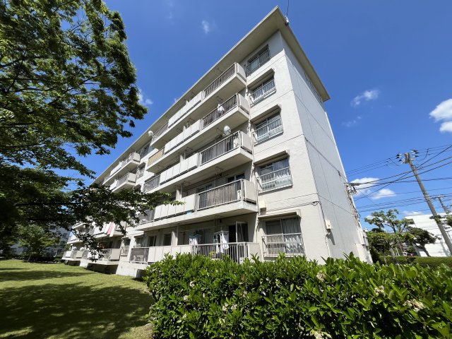 外観：312001195786