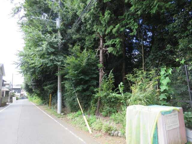 外観：311002468785