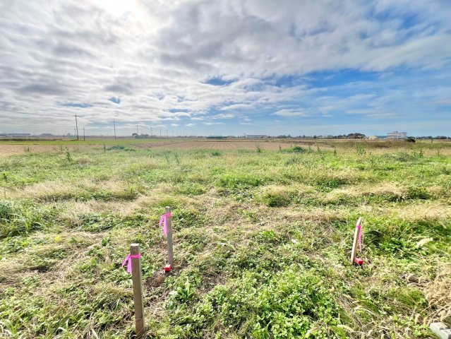 外観：311002173242