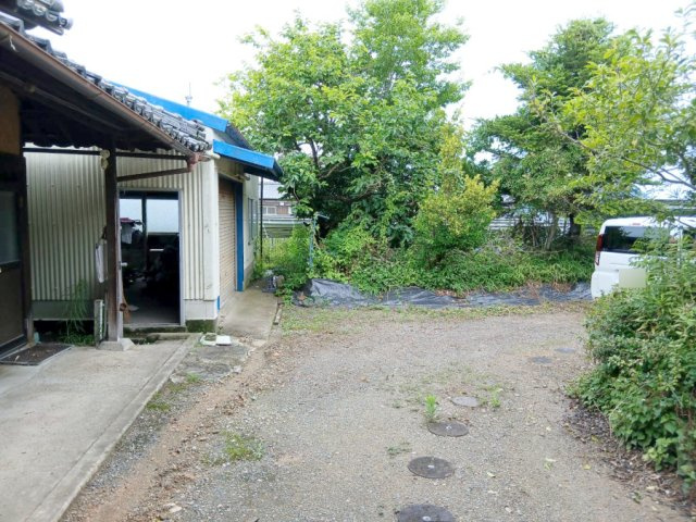 庭