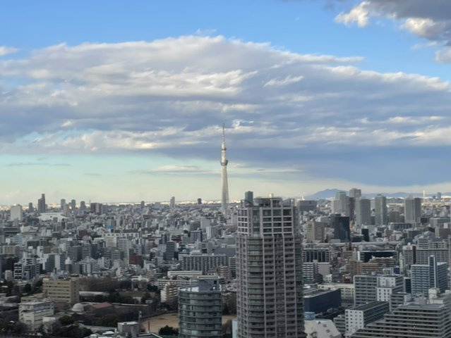 眺望