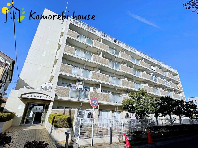 26.1.31撮影済み