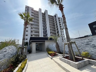 外観：312001215531