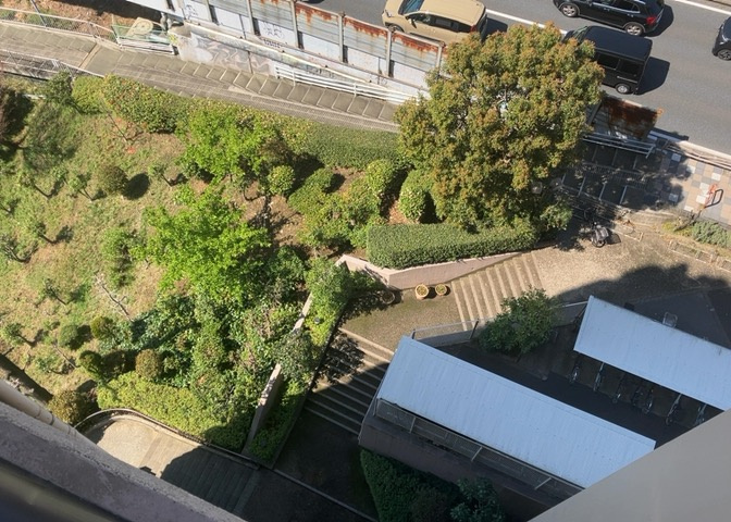 中庭（パティオ）とは、一つの建築物の内部に設けられた、壁などで囲われている庭のことを指します。コの字型、ロの字型が主流ですが、L字型の中庭もあります。最近では、インテリア性の高さからも人気があります。