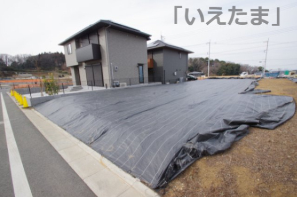 外観：313004621021